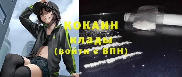 2c-b Горно-Алтайск