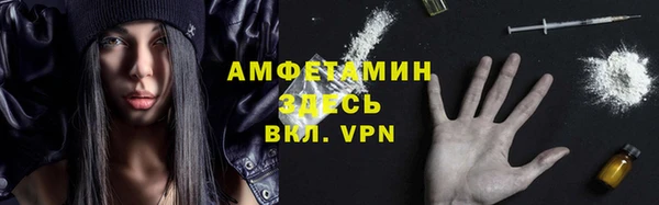 крисы Горняк