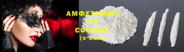 2c-b Горно-Алтайск
