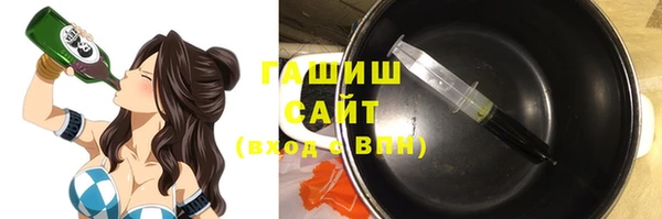2c-b Горно-Алтайск