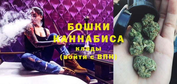крисы Горняк
