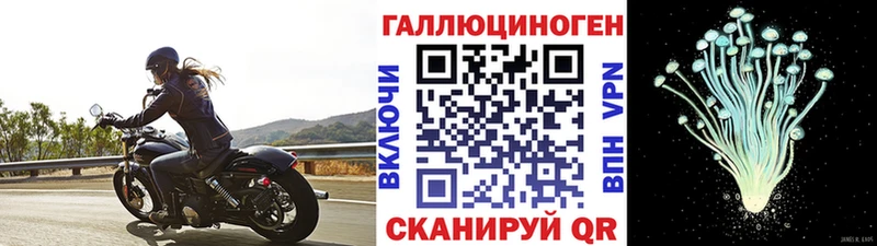 Купить где  Приморск  Галлюциногенные грибы ЛСД 
